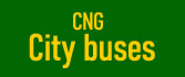 cng city buses